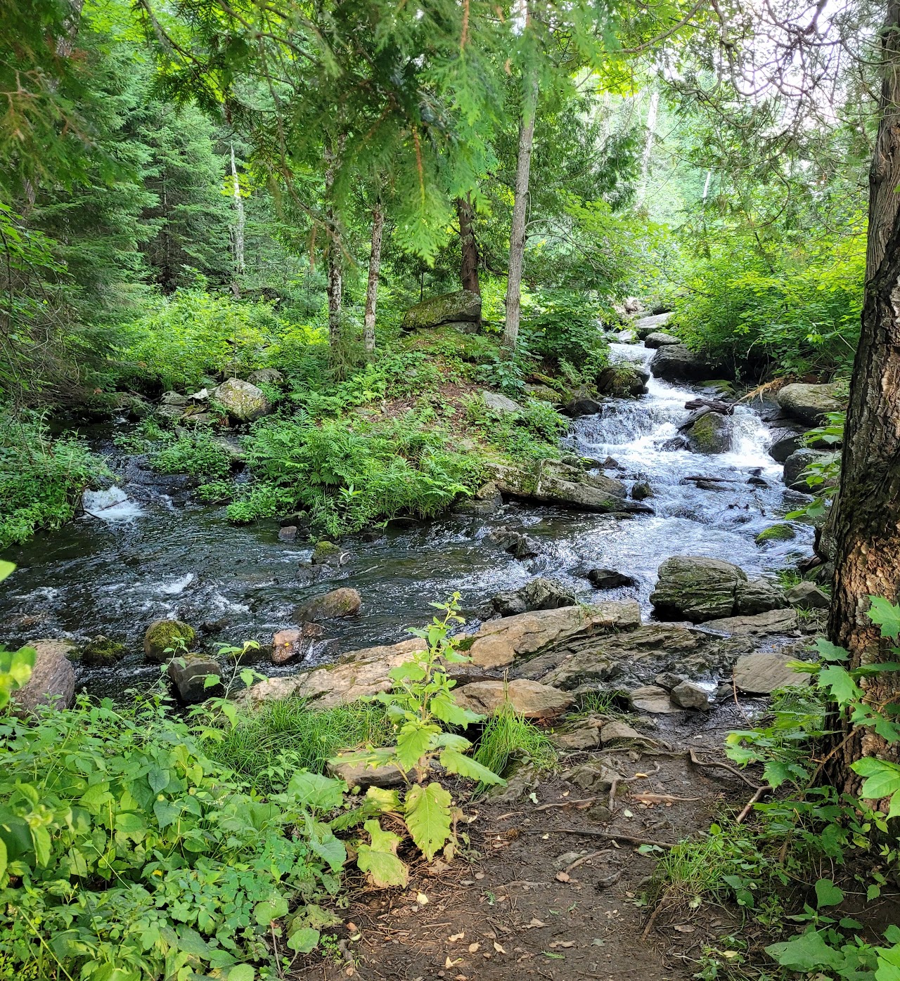 Rio na Aldeia
